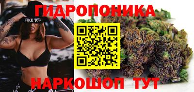 гашик Кулебаки