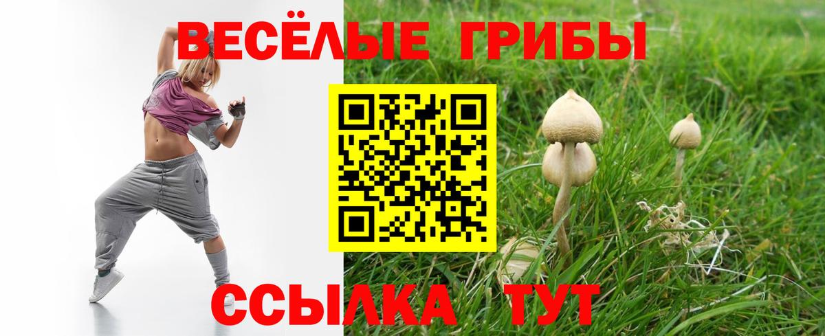 Галлюциногенные грибы Magic Shrooms  Вход с VPN  Барабинск 